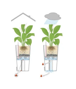 LECHUZA® CLASSICO LS, All-in-One-Set -Gartenbedarf Angebote 001 InOutdoorLechuza