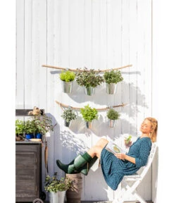 Dehner Gourmet Garten Zitronenmelisse 7 Dehner Gourmet Garten Zitronenmelisse -Gartenbedarf Angebote 20181011 PR MO 003 Kraeuter 01