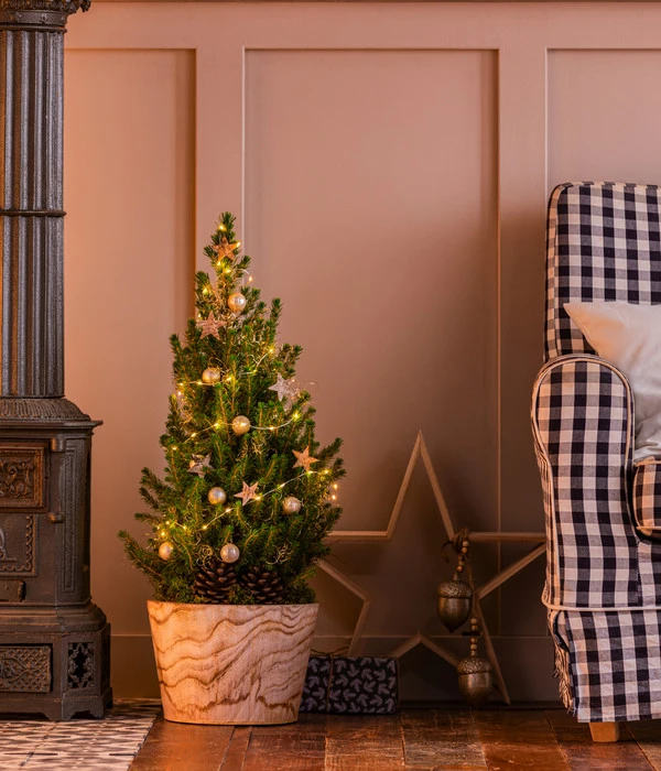 Geschmückter Weihnachtsbaum Loxley, Mit Lichterkette, Ca. H70 Cm 4 Geschmückter Weihnachtsbaum Loxley, Mit Lichterkette, Ca. H70 Cm – Bild 2