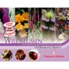 Thompson & Morgan Samen 'Wildblumen-Collection' -Gartenbedarf Angebote 2531705 WE FS 001 ThompsonMorganWildblumenCollection