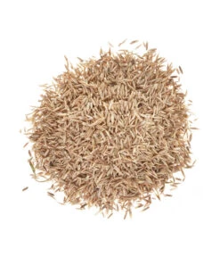 Wolf-Garten Wolf Saatgut Strapazier-Rasen 5 Wolf-Garten Wolf Saatgut Strapazier-Rasen -Gartenbedarf Angebote 2682250 BildD 001 WolfRasenSaatgutStrapazierrasenLorettaStrapRasenLoretta25Qm