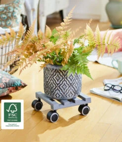 Wagner Pflanzenroller Creo, Ø 19 Cm -Gartenbedarf Angebote 2913945 WE MO 002 MULTIROLLERCREO