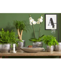 Dehner Keramik-Übertopf Rosella, Bauchig, Silber -Gartenbedarf Angebote 3136926 PR MO 003 KeramikSerieRosellaChromUveSauer