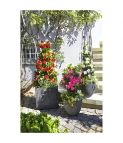 Dehner Polystone-Topf Brisbane In Riffeloptik, Rund -Gartenbedarf Angebote 3158847 3158870 3158888 3158995 3159092 3159126 WE MO 004 PolystoneTopfinRiffeloptikrundsand