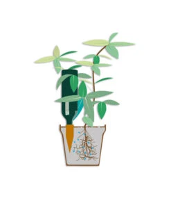 Bio Green Tonkegel Hydro Wine -Gartenbedarf Angebote 3207032 WE DE 001 BioGreenTonkegelHydroWineUrlaubsbewaesserung