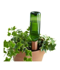 Bio Green Tonkegel Hydro Wine -Gartenbedarf Angebote 3207032 WE MO 003 BioGreenTonkegelHydroWineUrlaubsbewaesserung