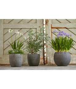 Dehner Polystone-Topf Kapstadt, Rund, Grau -Gartenbedarf Angebote 3207990 3208022 WE MO 002 DehnerPolystoneTopfbauchiggrau