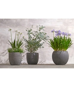 Dehner Polystone-Topf Kapstadt, Rund, Grau -Gartenbedarf Angebote 3207990 WE MO 002 PolystoneTopf