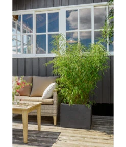 Dehner Kunststoff-Blumenkübel Palermo, Anthrazit -Gartenbedarf Angebote 3728110 3728151 3940756 WE MO 009 KunststoffBlumenkuebelKubusanthrazitBlumentopf