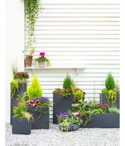 Dehner Kunststoff-Blumenkübel Palermo, Anthrazit -Gartenbedarf Angebote 3728110 3940764 3693611 WE MO 001 KunststoffPflanzkastenKubus