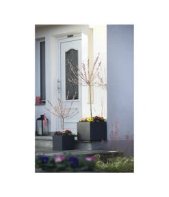 Dehner Kunststoff-Blumenkübel Palermo, Anthrazit -Gartenbedarf Angebote 3728110 WE MO 001 KunststoffTopfKubusAnthrazitBlumenkuebelBlumentopfKubus