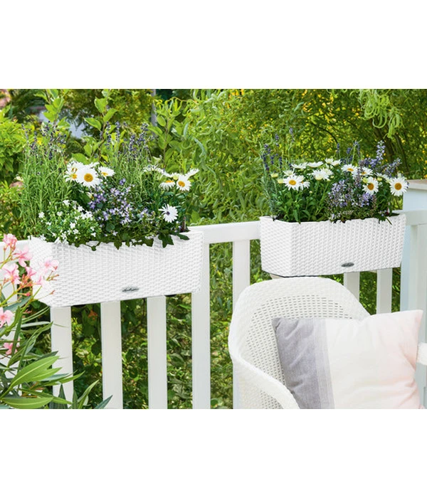 LECHUZA® Kunststoff-Kasten Balconera Cottage, Rechteckig 8 LECHUZA® Kunststoff-Kasten Balconera Cottage, Rechteckig – Bild 7