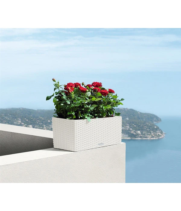 LECHUZA® Kunststoff-Kasten Balconera Cottage, Rechteckig 9 LECHUZA® Kunststoff-Kasten Balconera Cottage, Rechteckig – Bild 8