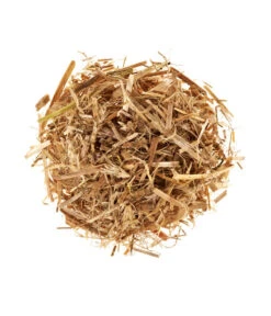 Neue Produkte -Gartenbedarf Angebote 3940285 BildD 001 PilzmaennchenBioHomePilzzuchtsetAusternpilzPilzbrutAusternpilzSet