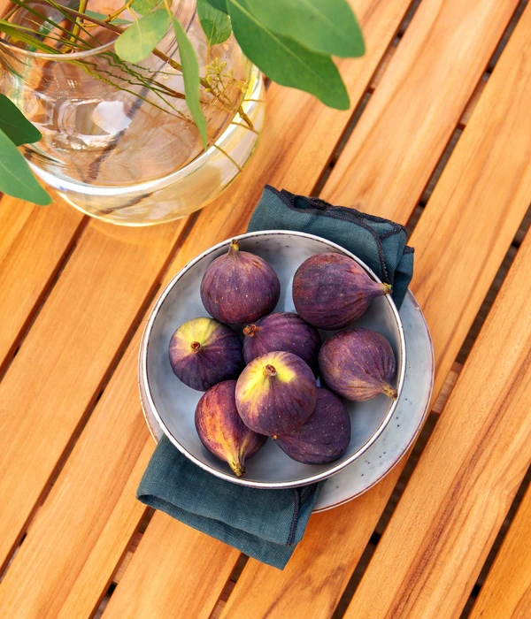 Dehner Aluminium-Lounge Malibu, 2-teilig 11 Dehner Aluminium-Lounge Malibu, 2-teilig – Bild 9