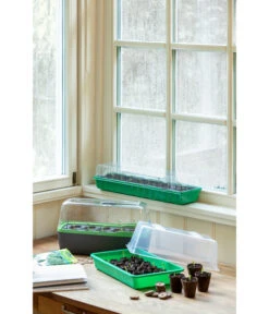 Romberg Zimmergewächshaus 7 Romberg Zimmergewächshaus -Gartenbedarf Angebote 4299970 WE MO 004 BoQubeZimmergewaechshaus