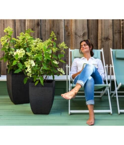 Dehner Strandstuhl Aruba 10 Dehner Strandstuhl Aruba -Gartenbedarf Angebote 4418422 WE MO 002 StrandstuhlArubaNeu