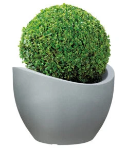 Scheurich Kunststoff-Topf Wave Globe, Rund, Ca. Ø60/H44,7 Cm 13 Scheurich Kunststoff-Topf Wave Globe, Rund, Ca. Ø60/H44,7 Cm -Gartenbedarf Angebote 4497707 WE FS 002 ScheurichKunststoffTopfWaveGloberund