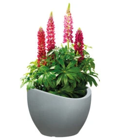 Scheurich Kunststoff-Topf Wave Globe, Rund, Ca. Ø60/H44,7 Cm 14 Scheurich Kunststoff-Topf Wave Globe, Rund, Ca. Ø60/H44,7 Cm -Gartenbedarf Angebote 4497707 WE FS 003 ScheurichKunststoffTopfWaveGloberund