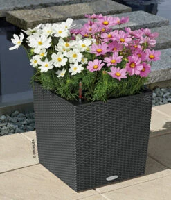 LECHUZA® Kunststoff-Topf Cube Cottage, Quadratisch -Gartenbedarf Angebote 5181169 WE MO 006 LechuzaKunststoffTopfCubeCottage