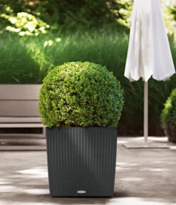 LECHUZA® Kunststoff-Topf Cube Cottage, Quadratisch -Gartenbedarf Angebote 5181169 WE MO 009 LechuzaKunststoffTopfCubeCottage