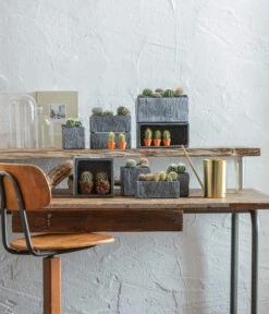 Dehner Zement-Jardiniere Slate, Rechteckig, Grau 11 Dehner Zement-Jardiniere Slate, Rechteckig, Grau -Gartenbedarf Angebote 5338900 WE MO 001 SerieSlateGrau 5338918 5056221 5056155 384281