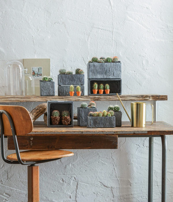 Dehner Zement-Jardiniere Slate, Rechteckig, Grau 6 Dehner Zement-Jardiniere Slate, Rechteckig, Grau – Bild 4