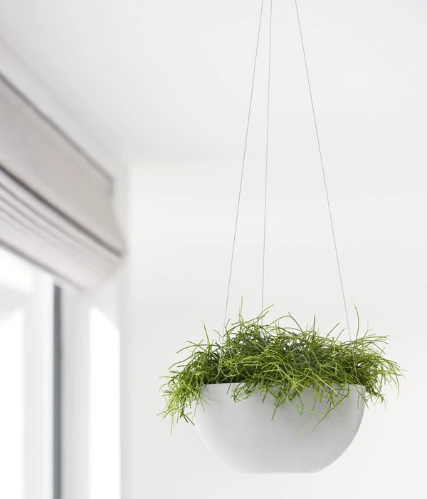 Ecopots Kunststoff-Hängeampel Brussels, Rund, Ca. Ø26,5/H13 Cm 7 Ecopots Kunststoff-Hängeampel Brussels, Rund, Ca. Ø26,5/H13 Cm – Bild 5