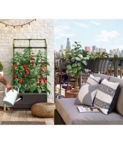 Bio Green Hochbeet City Jungle, Ca. B62/H128/T33 Cm 16 Bio Green Hochbeet City Jungle, Ca. B62/H128/T33 Cm -Gartenbedarf Angebote 6731566 WE MO 001 BioGreenHochbeetmitRankgitterCityJungleNEU