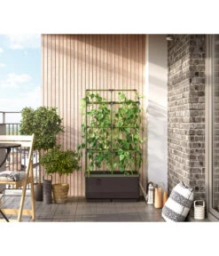 Bio Green Hochbeet City Jungle, Ca. B62/H128/T33 Cm 17 Bio Green Hochbeet City Jungle, Ca. B62/H128/T33 Cm -Gartenbedarf Angebote 6731566 WE MO 003 BioGreenHochbeetmitRankgitterCityJungleNEU