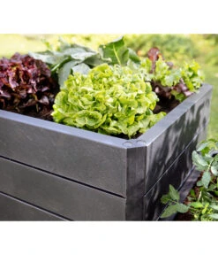 Garantia Hochbeet-System Ergo Quadro Stone -Gartenbedarf Angebote 6750319 WE DE 002 HochbeetNEU