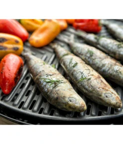 CADAC Gasgrill Grillo Chef 40 -Gartenbedarf Angebote 6961742 6961759 WE MO 001 Cadac GasgrillGrilloChef40