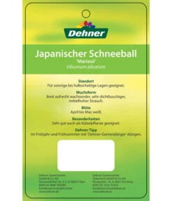 Japanischer Etagen-Schneeball 'Mariesii' -Gartenbedarf Angebote 7537194 JapanischerSchneeballMariesii Etikett 2