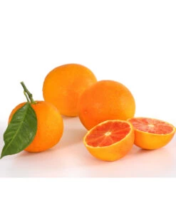 Blutorange -Gartenbedarf Angebote 7622756 PR DE 001 Blutorange Herzig