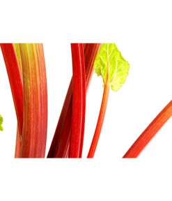 Dehner Gourmet Garten Himbeer-Rhabarber -Gartenbedarf Angebote 7736028 PR DE 002 RhabarberHimbeere2LiterDehnerExpressHerzig