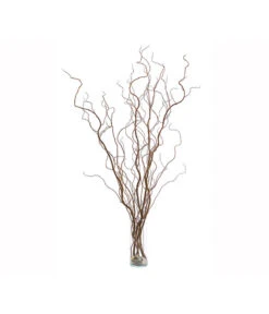 Korkenzieherweide-Bund 10 Korkenzieherweide-Bund -Gartenbedarf Angebote 8149114 WE FS 002 KorkenzieherweideBraunBundDehnerExpressHerzig