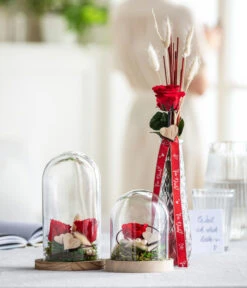 Longlife-Rose Mit Stiel, Rot -Gartenbedarf Angebote 8170151 WE MO 001 LonglifeRoseValentin