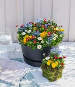 Gartenbedarf Angebote -Gartenbedarf Angebote 8823908 WE MO 001 FruehjahrQuattros