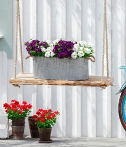 Eisenkraut, Verschiedene Farben 20 Eisenkraut, Verschiedene Farben -Gartenbedarf Angebote 8826828 WE MO 001EisenkrautT13