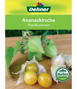 Dehner Ananaskirsche Physalis -Gartenbedarf Angebote 8830069 Ananaskirsche Etikett 1