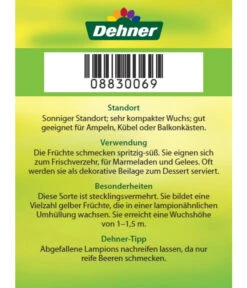 Dehner Ananaskirsche Physalis -Gartenbedarf Angebote 8830069 Ananaskirsche Etikett 2