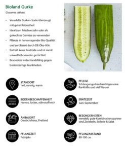 Bioland Gurke, Veredelt 13 Bioland Gurke, Veredelt -Gartenbedarf Angebote 8830853 WE IG 001 BiolandGurke