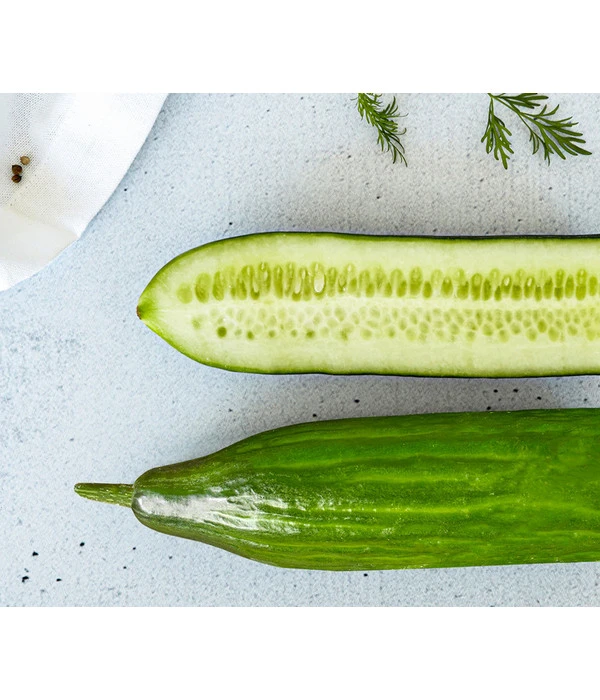 Bioland Gurke, Veredelt 3 Bioland Gurke, Veredelt