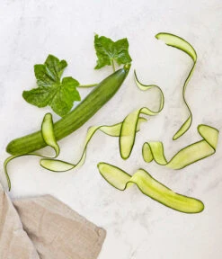 Bioland Gurke, Veredelt 11 Bioland Gurke, Veredelt -Gartenbedarf Angebote 8830853 WE MO 001 SchlangengurkeveredeltRenner