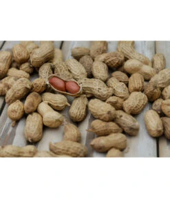 Bioland Erdnuss