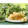 Dehner Ananaskirsche Physalis 2 Dehner Ananaskirsche Physalis -Gartenbedarf Angebote 8837965 WE MO 001 GourmetAndenbeereGoldvital