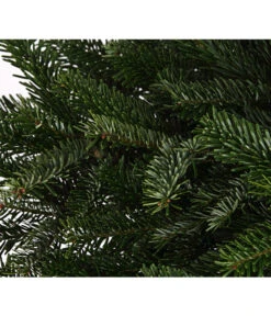 Nordmann-Tanne, Ca. 80-100 Cm, Im Topf Gewachsen 7 Nordmann-Tanne, Ca. 80-100 Cm, Im Topf Gewachsen -Gartenbedarf Angebote 8995938 WE DE 003 AbiesNordmanniananNordmanntanne80 100DehnerExpressHerzig